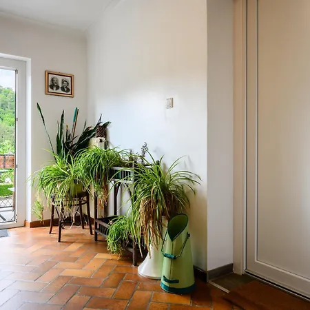 D'odile Apartmán